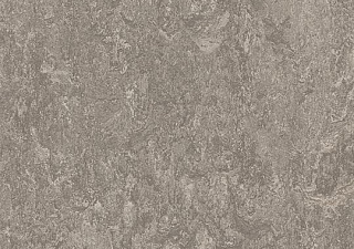 t3146 serene grey//50 cm x 50 cm